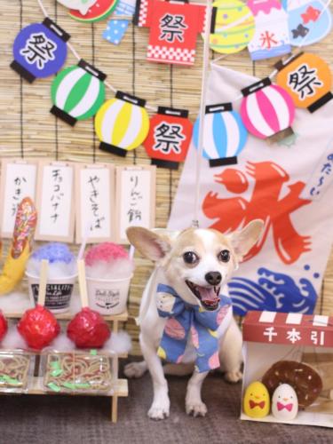 20240727うにちゃん